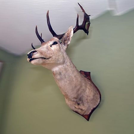 Hotel 'T Hert 헹크 외부 사진